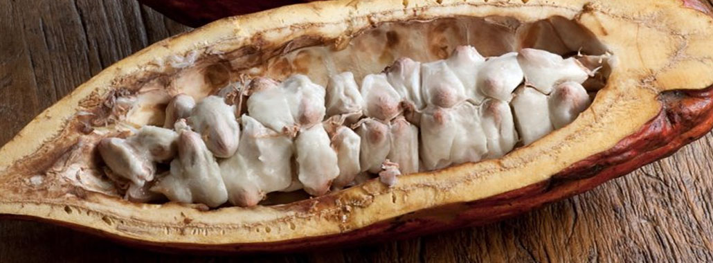 8 ALIMENTOS QUE PROMETEN PONERSE DE MODA EN 2021