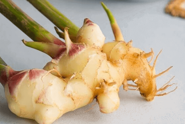 alimentos_1