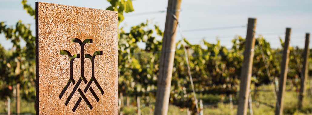 VIÑEDO TRES RAÍCES: EL PROCESO DE LA PODA