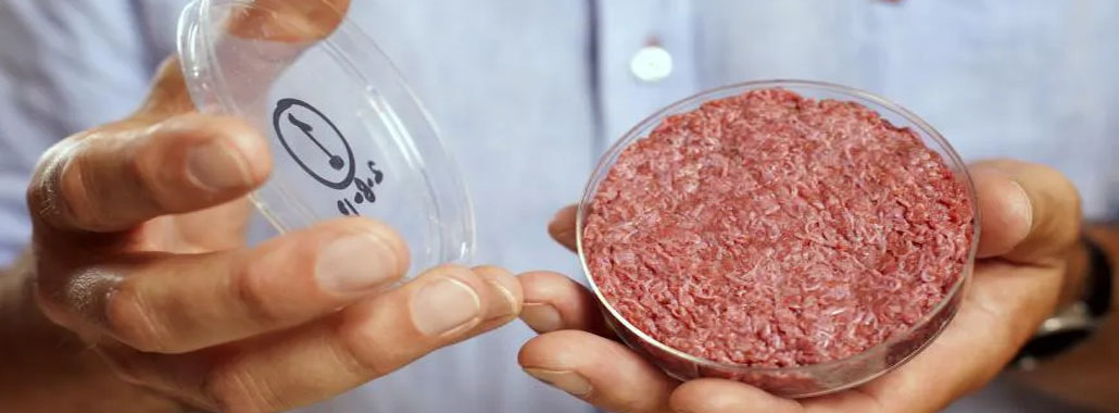 LA STARTUP DE CARNE CULTIVADA RECIBEN IMPULSO DE LEONARDO DICAPRIO
