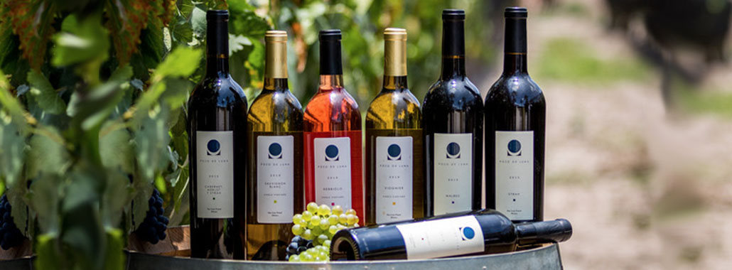 7 VINOS POZO DE LUNA PARA MARIDAR PLATILLOS MEXICANOS