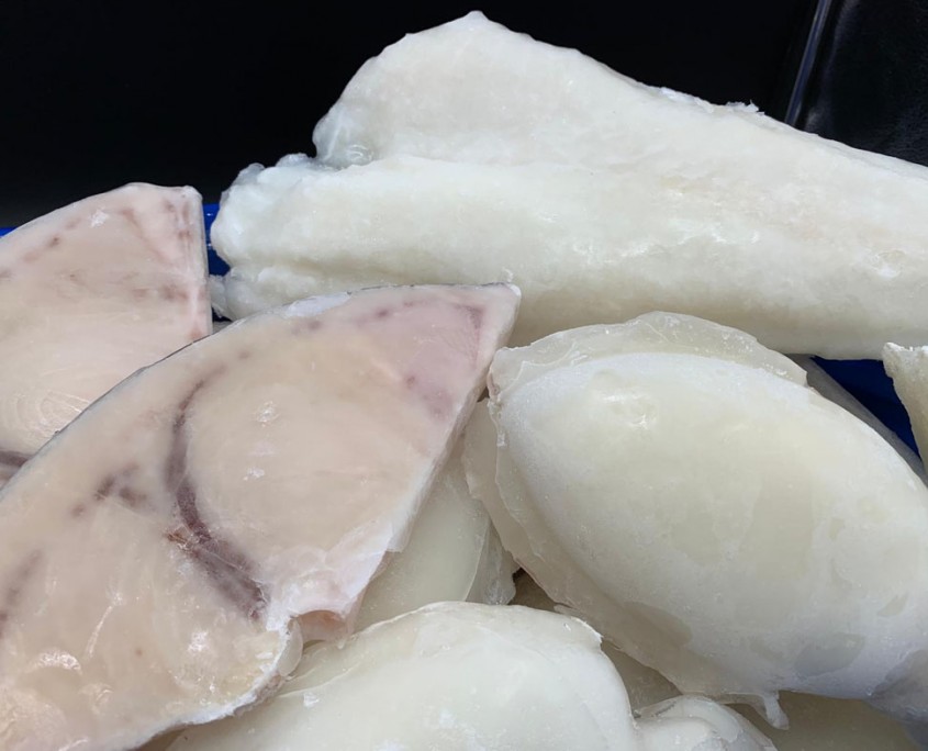 tilapia_2