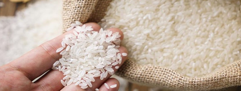 ¿SABÍAS QUÉ? EL ARROZ MEXICANO DE MORELOS ES PROTEGIDO POR EL GOBIERNO Y TIENE D.O.