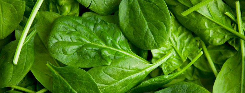 LA IA REVELÓ CUÁL ES EL ALIMENTO MÁS SALUDABLE DEL MUNDO