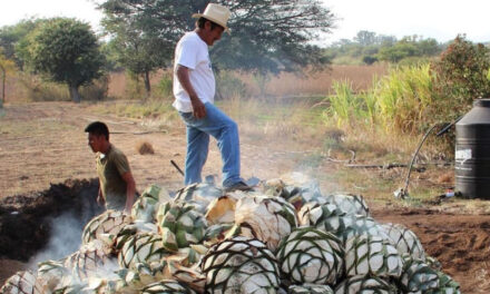 ¿Sabes qué diferencia un producto gastronómico artesanal de uno que no lo es? Estos artesanos nos lo explican