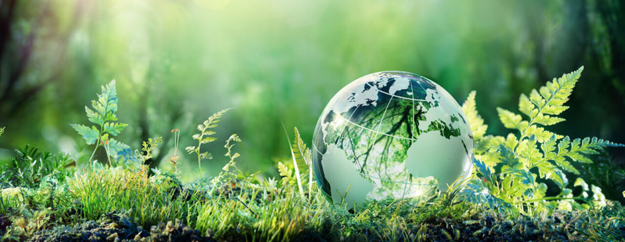 3 ACCIONES PARA IMPULSAR LA CONSERVACIÓN DEL MEDIO AMBIENTE