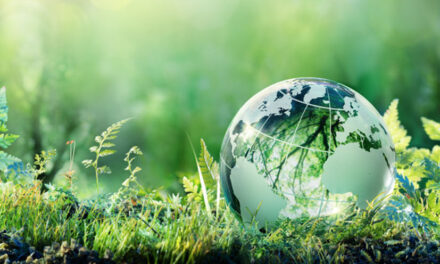 3 ACCIONES PARA IMPULSAR LA CONSERVACIÓN DEL MEDIO AMBIENTE