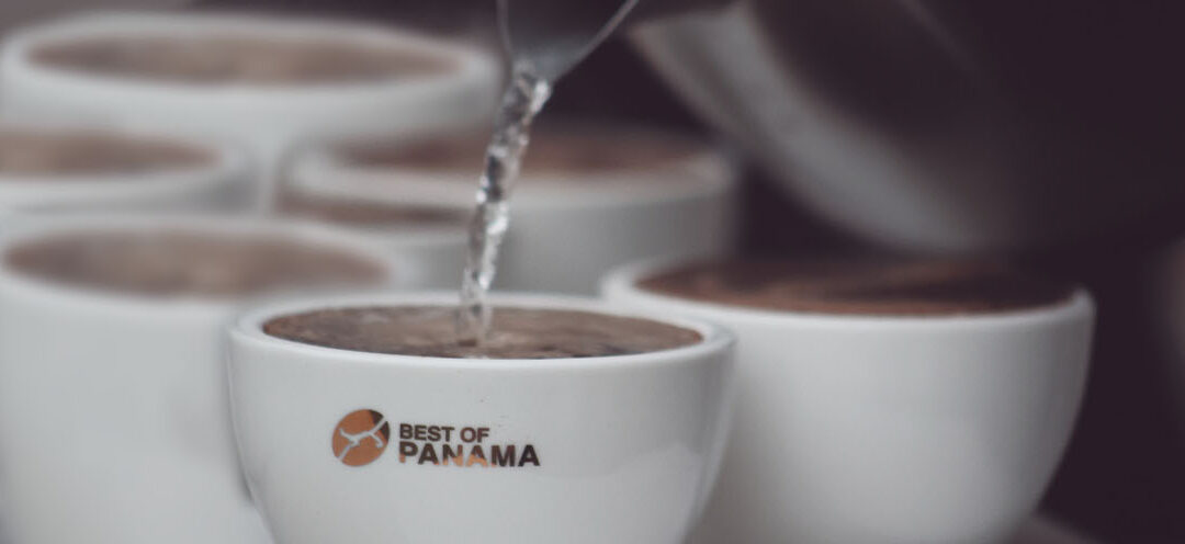 La subasta electrónica de Panama con cafés de lujo partió de 100 dólares el kilo