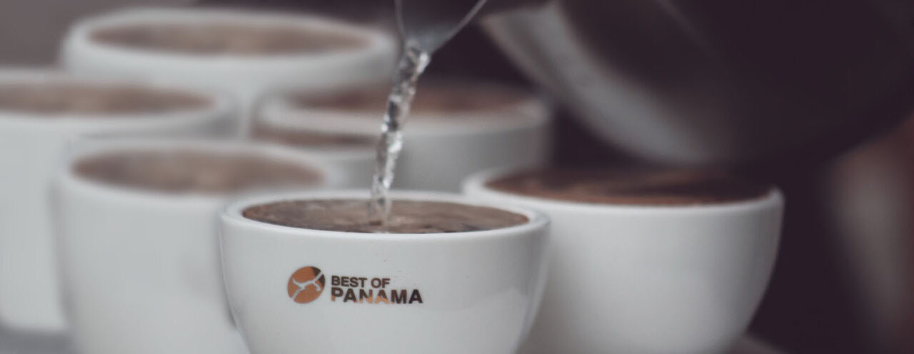 La subasta electrónica de Panama con cafés de lujo partió de 100 dólares el kilo