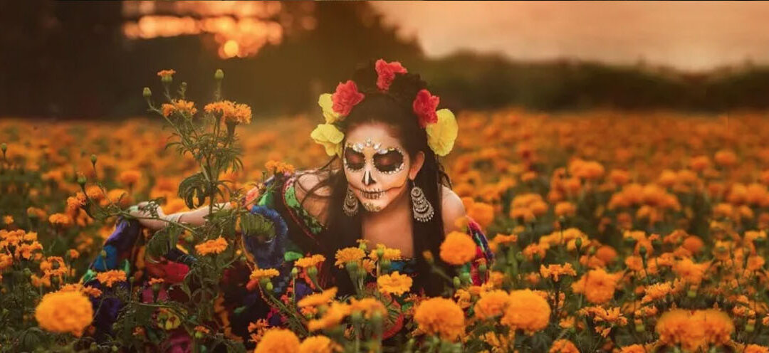 La flor de cempasúchil, un ícono de México y simboliza la guía del camino de los muertos al mundo de los vivos