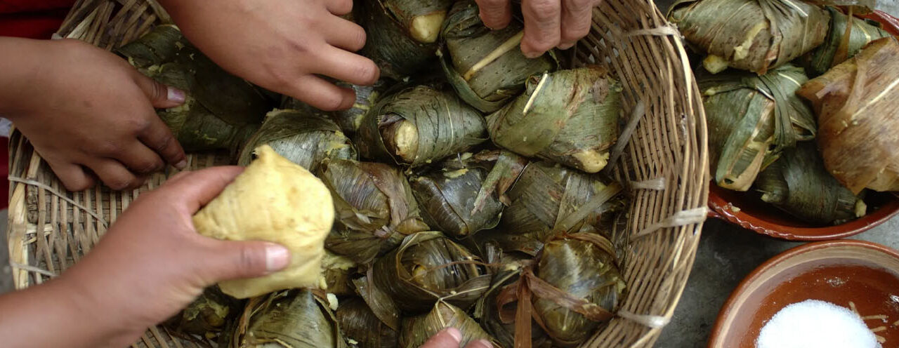 Estos son los estados de México que destacan por su gastronomía