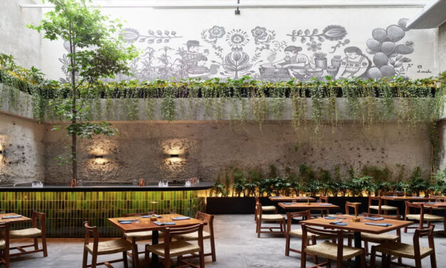 Alsea planea invertir 6,000 millones de pesos y abrir hasta 220 restaurantes en 2025