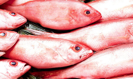 COFEPRIS inicia operativo cuaresma 2025