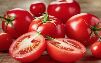 Entran en vigor aranceles al tomate mexicano en Estados Unidos