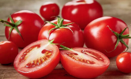 Entran en vigor aranceles al tomate mexicano en Estados Unidos