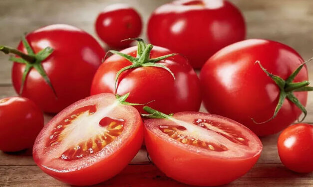 Entran en vigor aranceles al tomate mexicano en Estados Unidos