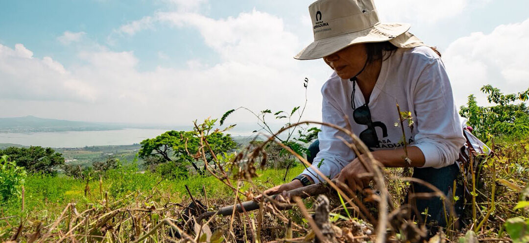 Revive Cajititlán: Brown-Forman restaura una microcuenca vital