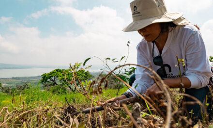 Revive Cajititlán: Brown-Forman restaura una microcuenca vital