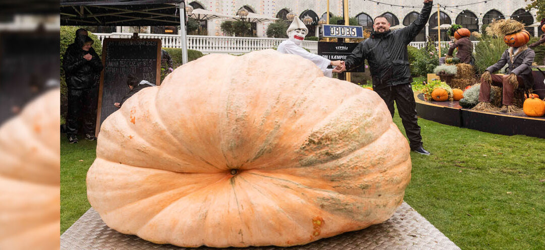 El Campeonato Danés de Calabazas Gigantes 2025