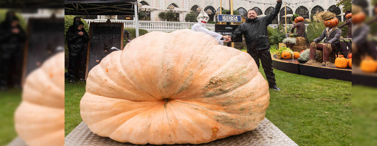 El Campeonato Danés de Calabazas Gigantes 2025
