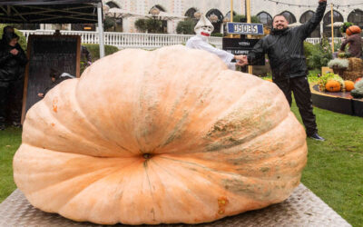 El Campeonato Danés de Calabazas Gigantes 2025
