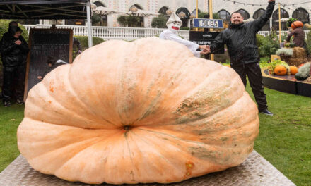 El Campeonato Danés de Calabazas Gigantes 2025