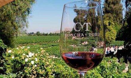 Viña Concha y Toro concreta su expansión a Francia tras adquirir Maison Mirabeau