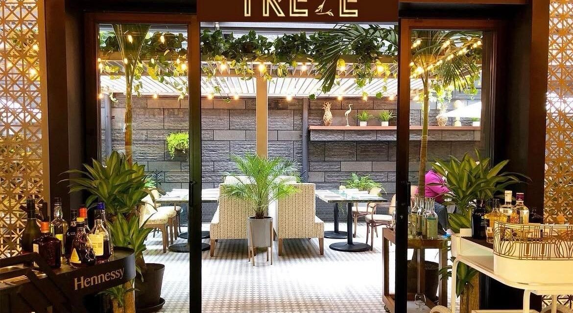 Treze con Z: Una experiencia gastronómica de alto lujo que redefine la escena culinaria en la Ciudad de México