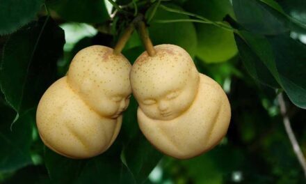 Frutas cuadradas, la extravagancia oriental